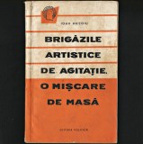 BRIGĂZILE ARTISTICE DE AGITAȚIE, O MIȘCARE DE MASĂ - IOAN MEIȚOIU - BRIGADĂ PCR