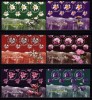 RO 2009 LP 1830 &quot; Flora din Arii Protejate &quot; ,3 serii - triptic H + manseta ,MNH, Nestampilat