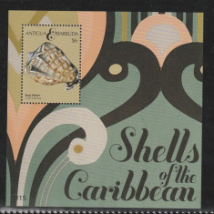 Antigua si Barbuda 2011-Fauna,Moluste,Scoici,colita dantelata,MNH,Mi.Bl.684