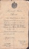 PM443N Brevet pentru medalia Crucea comemorativă a războiului 1916-1918