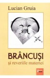 Brancusi si reveriile materiei - Lucian Gruia