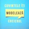 CUVINTELE ITI MODELEAZA CREIERUL-ANDREW NEWBERG, MARK ROBERT WALDMAN-266757