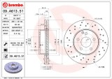 BREMBO 09.A613.51 PRIME LINE - UV Coated Disc frana