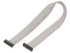 Cablu panglică SAMTEC IDC 10 pini 228,6mm FFSD-10-D-09.00-01-N