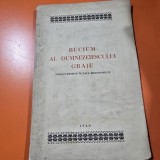 Bucium al Dumnezeiescului Graiu, predici rostite in fata microfonului
