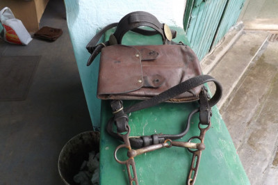 Toc pistol si capastru ptr.cal din dotarea cavaleriei Romanesti.Anii 1900. foto