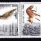 1996 Fauna LP1420 MNH Pret 2.6+1Lei