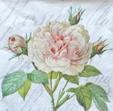 Servetele de masa 3 straturi, 33x33 cm, 20 bucatI -model Rose