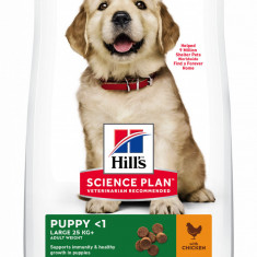 Hill's Science Plan Canine Puppy Large Breed Chicken, 2.5 kg