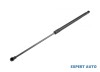 Telescop hayon Peugeot 3008 2009-2016 #1