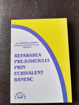Repararea prejudiciului prin echivalent banesc - Adriana Corhan foto