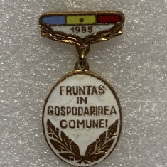 Insigna fruntaș în gospodărirea comunei 1985