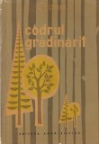 Carte Gradinarit C. Costea - Codrul Gradinarit, Agrosilvica, 1962, 146 pagini, brosata, romana