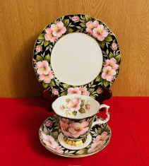 SET 3 PIESE PORTELAN ENGLEZESC- ROYAL ALBERT- PROVINCIAL FLOWERS- ALBERTA ROSE foto