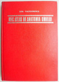 Mic atlas de anatomia omului &ndash; Dem. Theodorescu