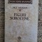 PAUL VATAMAN - FIGURI SOROCENE