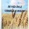 Mihai Tarnaveanu - Se vad inca Urmele-n holde