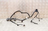 Cablaj ușă dreapta spate TESLA MODEL 3 2020 OEM: 3067966-00-A 16026589