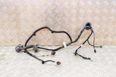Cablaj ușă dreapta spate TESLA MODEL 3 2020 OEM: 3067966-00-A 16026589 foto