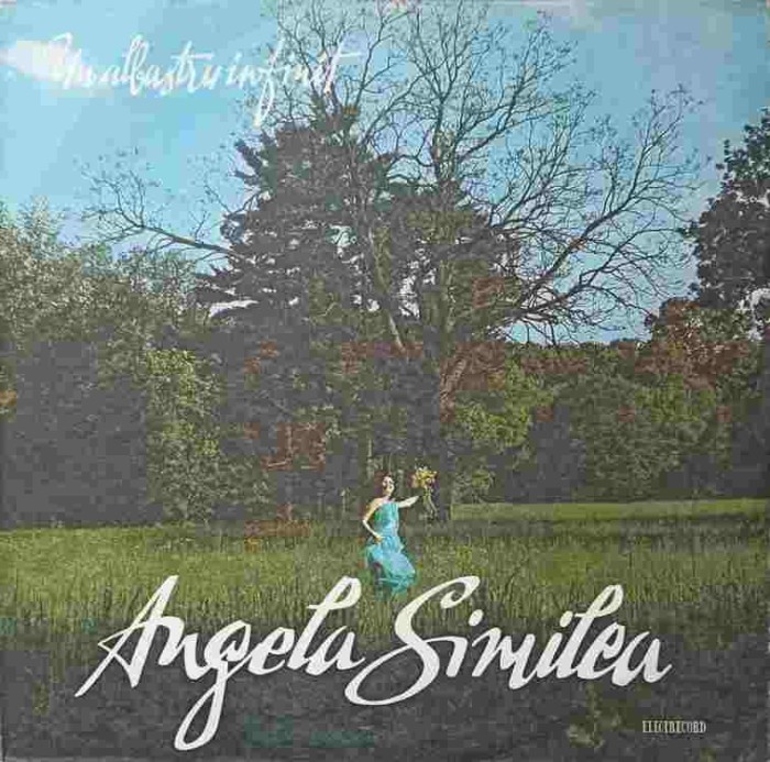Disc vinil, LP. UN ALBASTRU INFINIT-ANGELA SIMILEA-314606