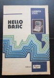 HELLO BASIC - Luminița State
