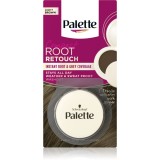 Schwarzkopf Palette Compact Root Retouch corector pentru acoperirea firelor carunte de par cu efect de pulbere culoare Light Brown 3 g