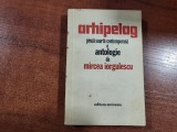 Arhipelag.Proza scurta contemporana.O antologie de Mircea Iorgulescu