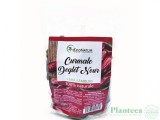 CURMALE DEGLET NOUR FARA SAMBURI 250GR