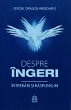 Cumpara ieftin Despre &icirc;ngeri. &Icirc;ntrebări și răspunsuri - 2023 - Ovidiu Dragoș Argeșanu (@M69)