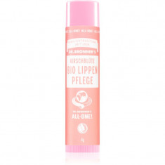 Dr. Bronner’s Cherry Blossom Lip Balm balsam de buze 4 g