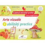 Arte vizuale si abilitati practice. Caietul micului scolar. Clasa pregatitoare - Nicoleta Ciobanu