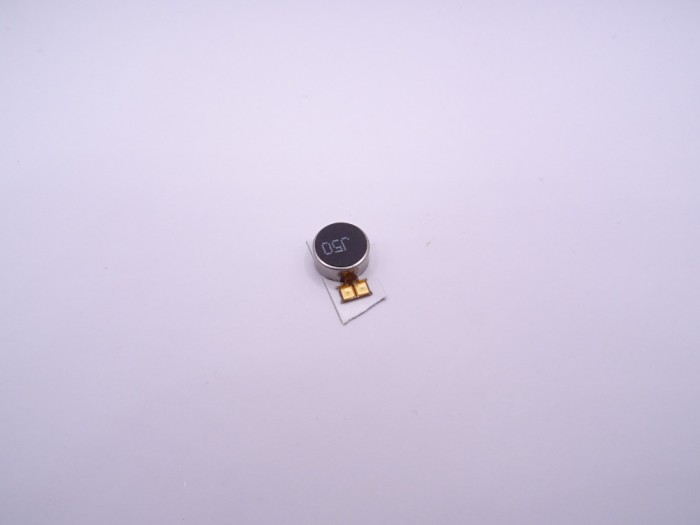 Samsung S10+ Vibrator SM-G975F/DS SWAP
