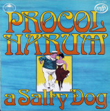 Vinil Procol Harum &ndash; A Salty Dog (VG+), Rock
