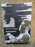 SUPLEANTUL - Petru Popescu
