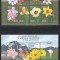 Centrafricana 2000 - Flori, 3 MC, 4 Poze, MNH
