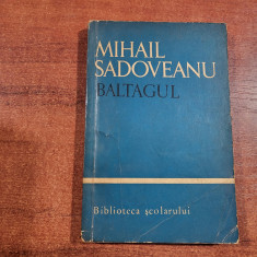 Baltagul de Mihail Sadoveanu