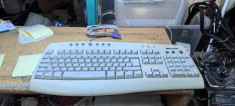 Tastatura PC Microsaft PS2 #A8492