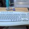 Tastatura PC Microsaft PS2 #A8492