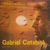 Disc vinil, LP. NOI RAMANEM OAMENI-GABRIEL COTABITA, Rock and Roll