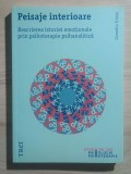 Corneliu Irimia - Peisaje interioare. Rescrierea istoriei emoționale prin psihoterapie psihanalitică