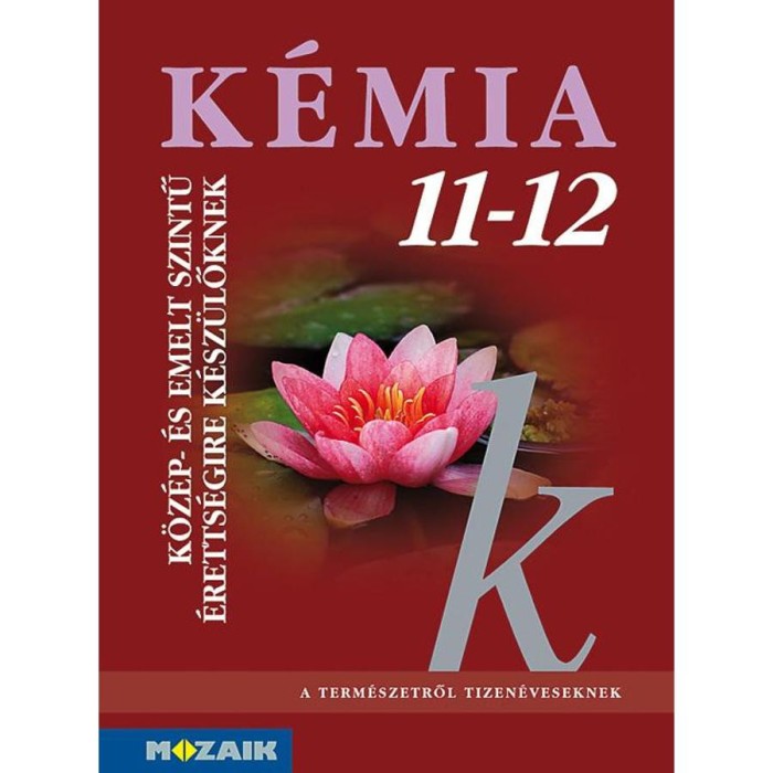 K&eacute;mia 11-12. - K&ouml;z&eacute;p- &eacute;s emelt szintű &eacute;retts&eacute;gire k&eacute;sz&uuml;lőknek - Horv&aacute;th Bal&aacute;zs