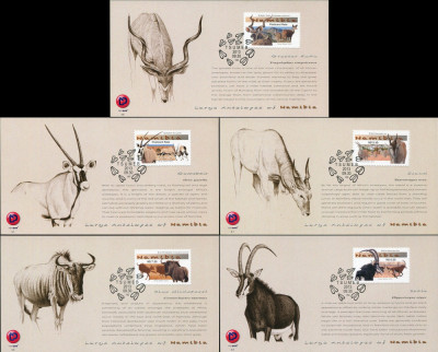 Namibia 2013 - 5 piese maximum cartele - Seria completă foto