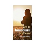 Abc‑ul tămăduirii creștinului - Paperback brosat - *** - De Suflet