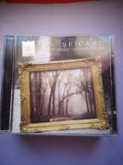 CD muzica Vasile Seicaru - In orasul cu floare de tei foto