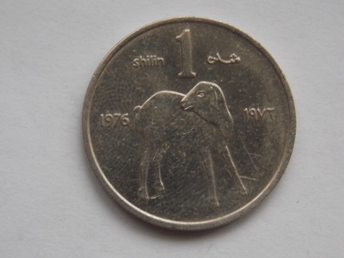 1 SHILIN 1976 SOMALIA-XF