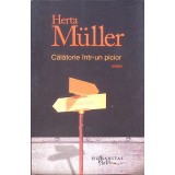 CALATORIE INTR-UN PICIOR-HERTA MULLER-260577