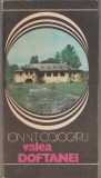 Ion V.T. Cojocaru - Valea Doftanei, 1980