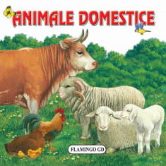 Animale domestice - Hardcover - Nicolae Săftoiu - Flamingo