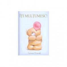 Îţi mulţumesc! - Hardcover - Helen Exley - Helen Exley