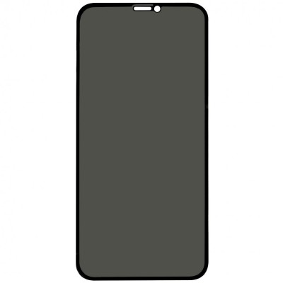 Folie sticla protectie ecran Privacy 5D Full Glue margini negre pentru Apple iPhone X/XS/11 Pro foto